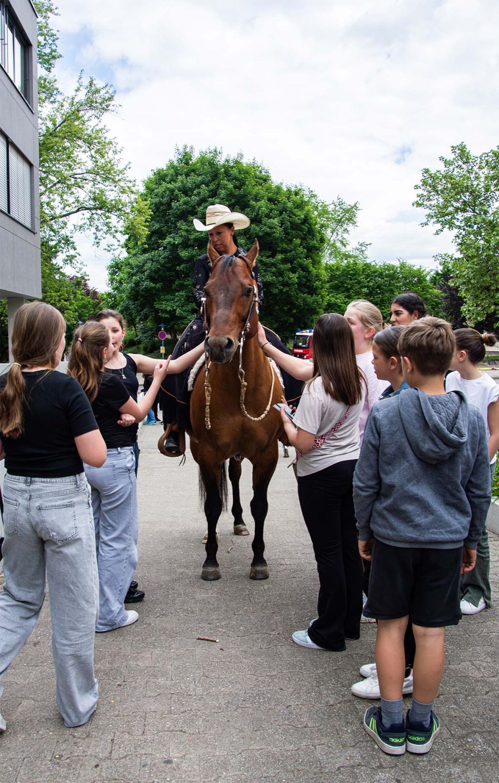 Pferd auf dem Hof