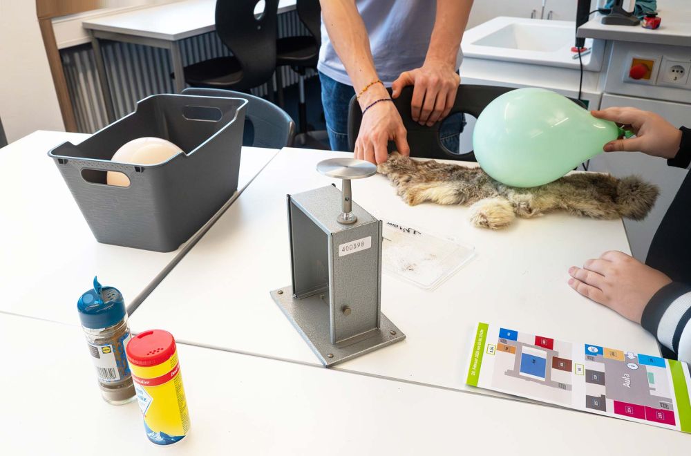 Physik an der PRS - Experimente