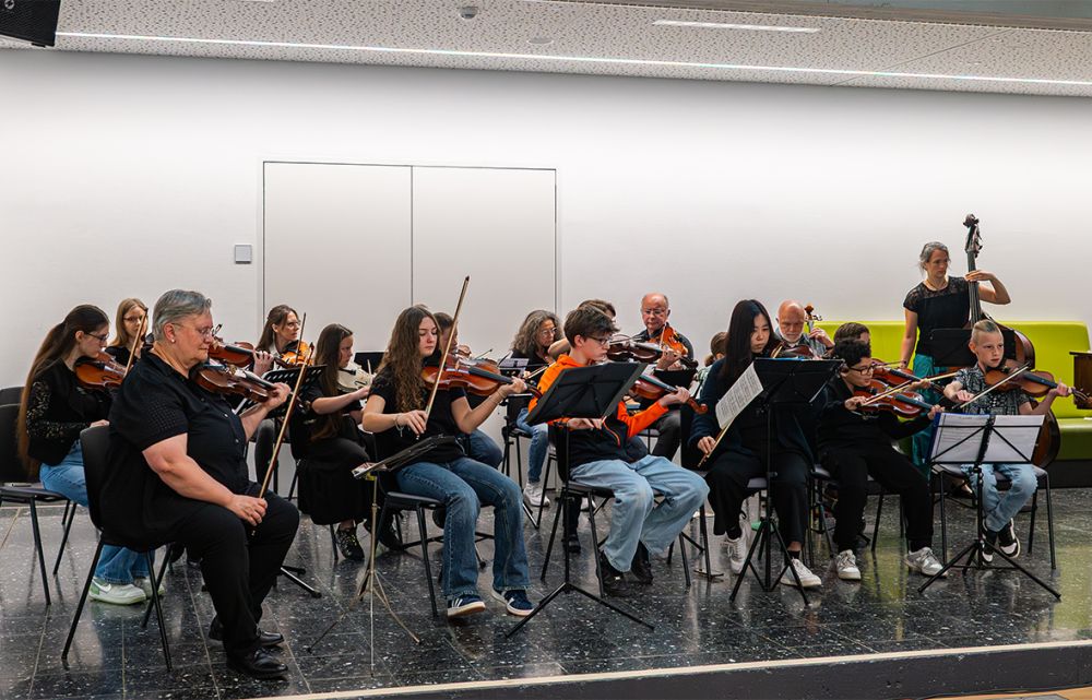 Streicher und Kammerorchester